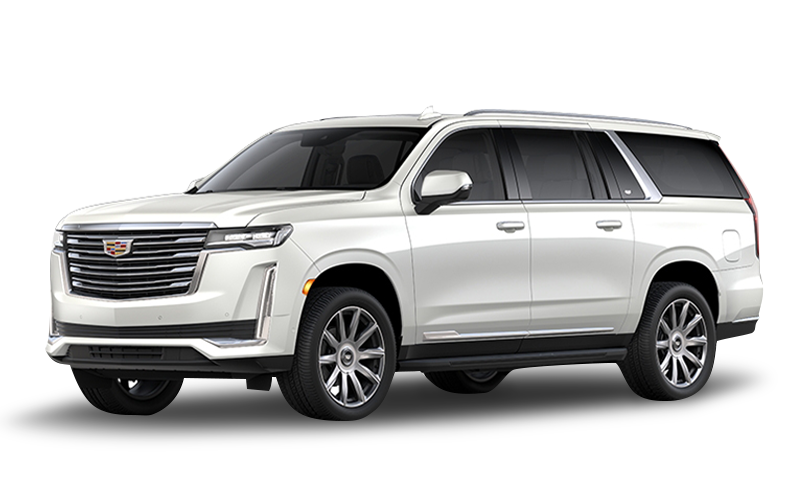 크리스탈 화이트 트리코트 익스테리어